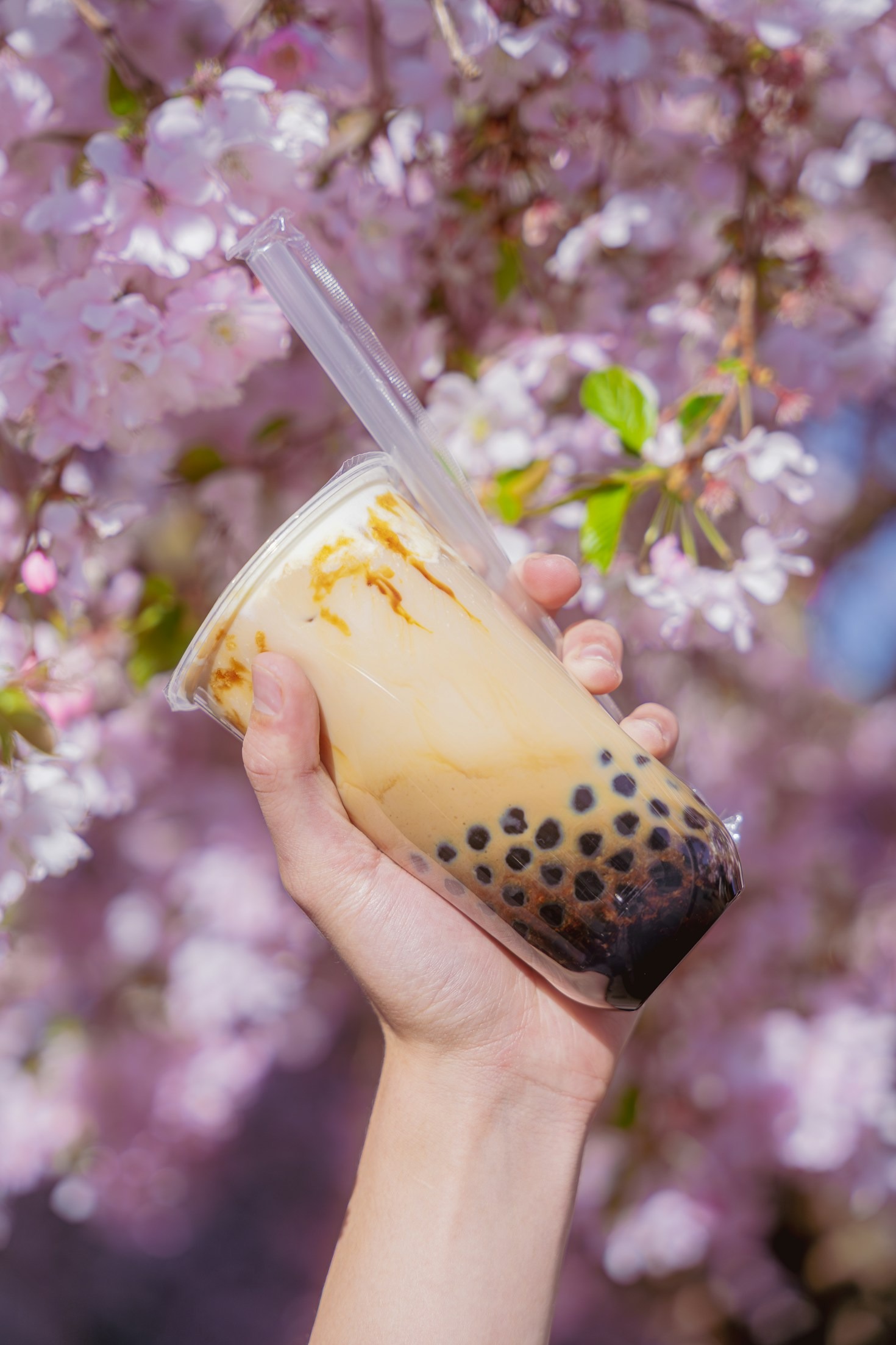 How Echo BBT Redefines Bubble Tea